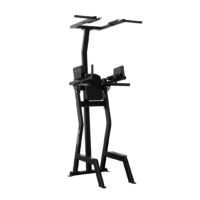 179-gymleco-leglift-with-chins-and-dips