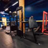 255-gymleco-Biceps-Curl-Triceps-Extension-03