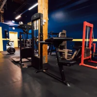 255-gymleco-Biceps-Curl-Triceps-Extension-04