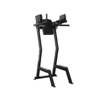 173-gymleco-leglift-with-dip-bar